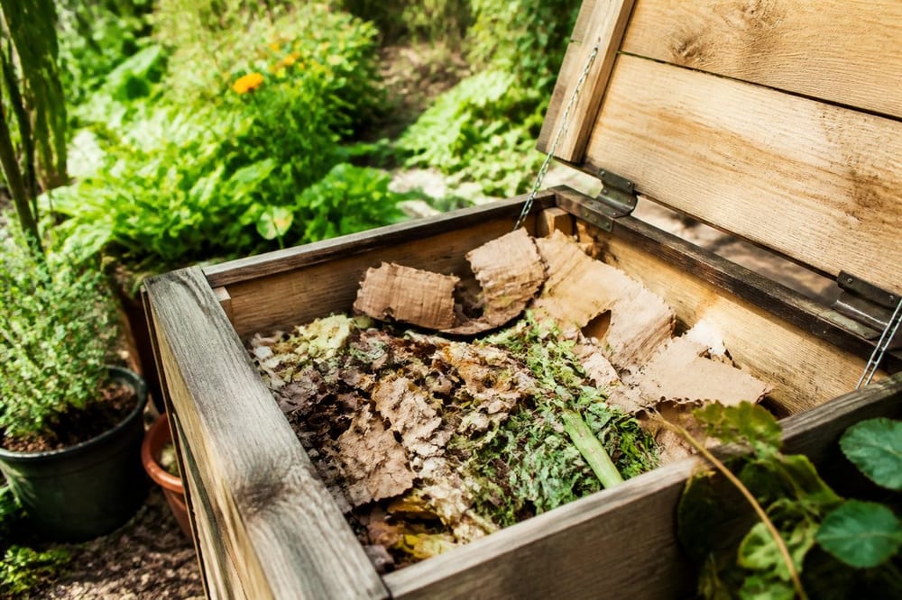 Carton compost : lesquels mettre sans déséquilibrer votre bac