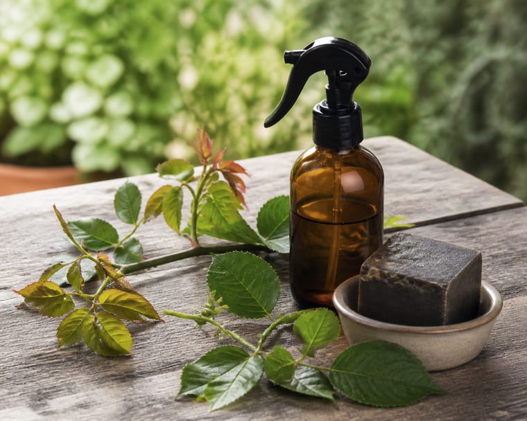 Pulvérisateur, savon noir et rameau de rosier sur une table de jardin